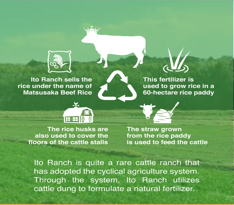 Ito Ranch Eco-Cyclical Agriculture