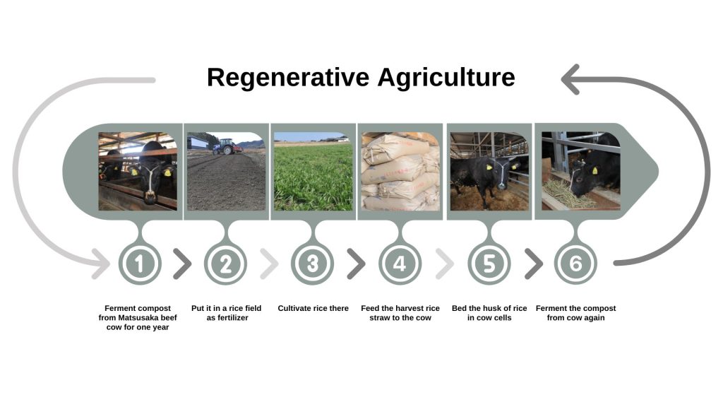 Ito Ranch Eco-Cyclical Agriculture